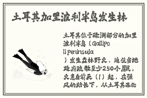 国产黑料吃瓜无套